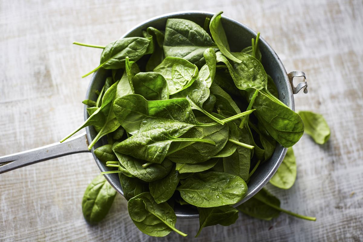 Conheça vegetal que estimula o colágeno e alivia dores no joelho