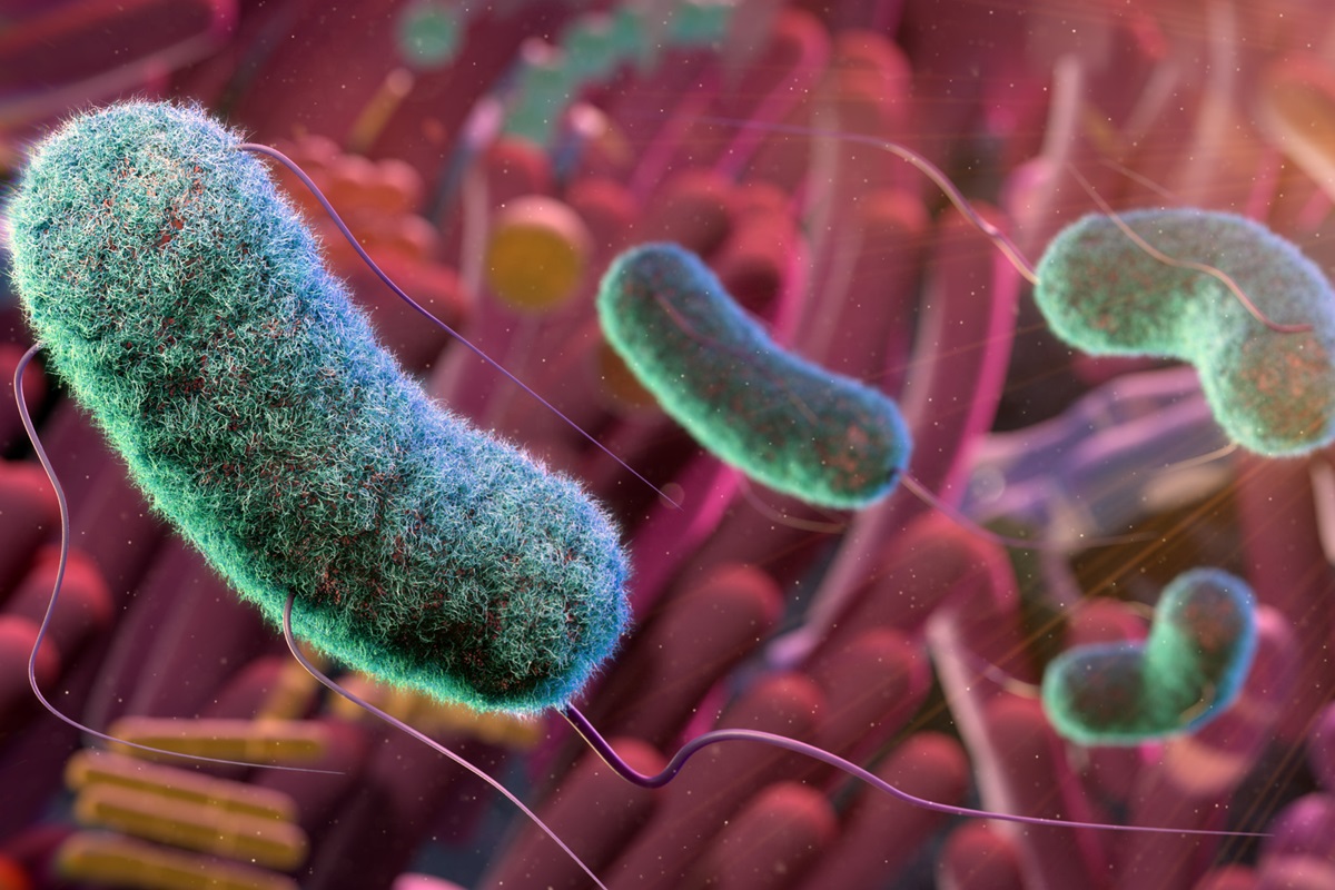 Aumento do câncer em jovens pode ter ligação com bactérias intestinais