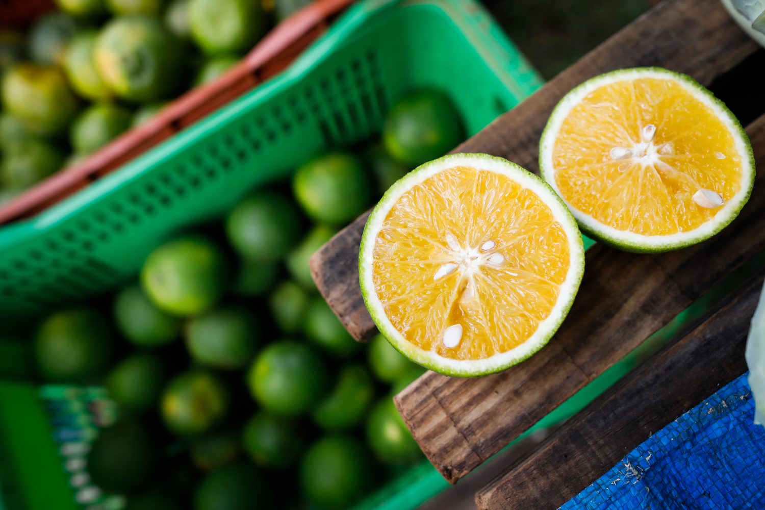 Cidade no interior de SP produz 80% de toda a laranja do Brasil