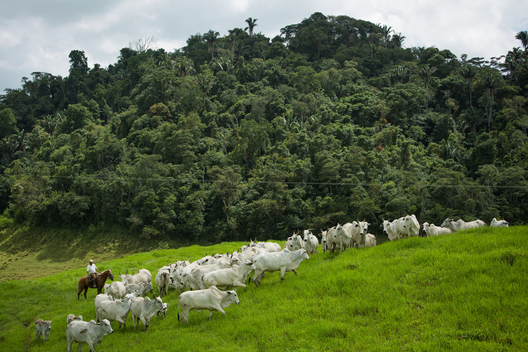 Produtores tem uma nova ameaça direta ao direito de propriedade
