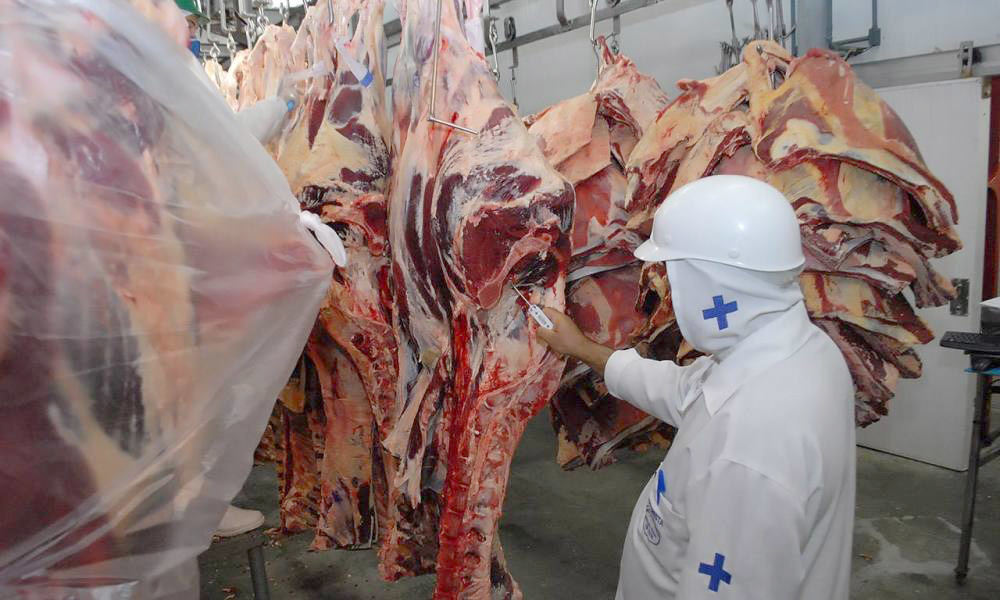 IBGE: abate de bovino sobe 3,8% no 1º tri ante 1º tri de 2024; frango sobe 2,3%