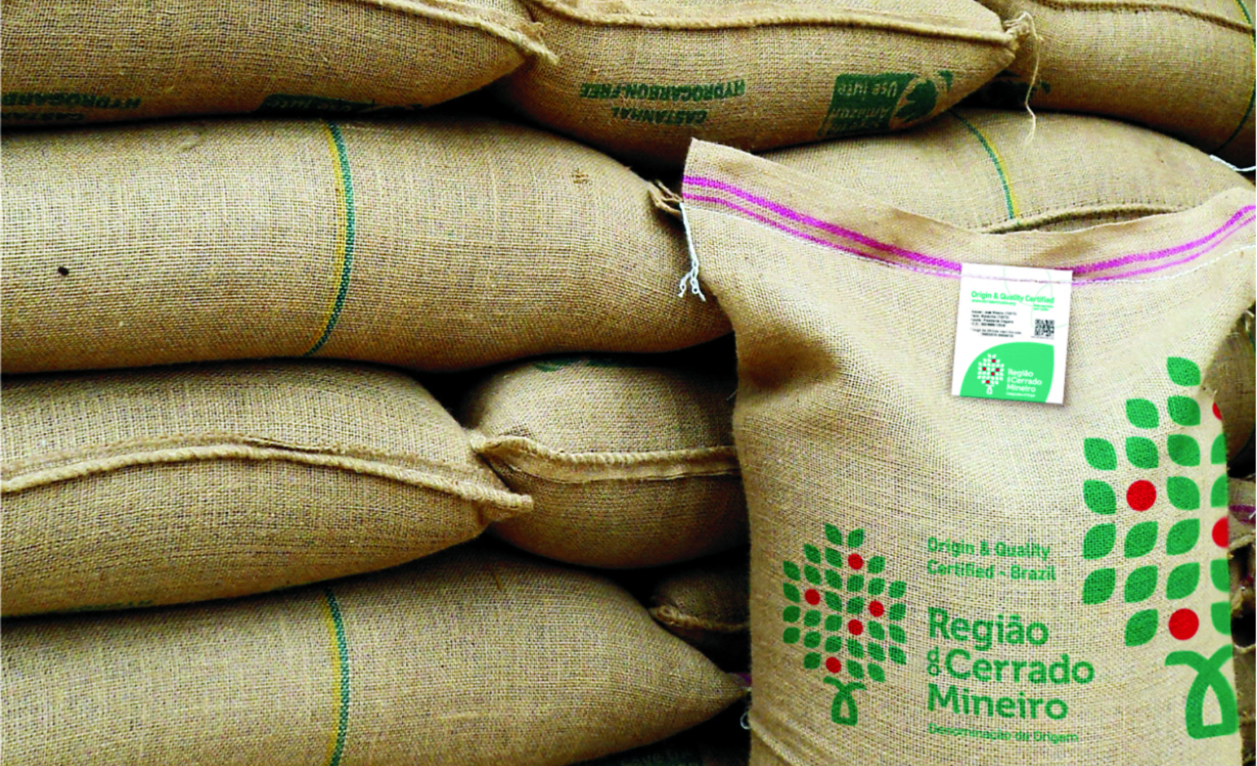 Exportação brasileira de café cai 28% em abril, mas segue recorde na safra 2024/25