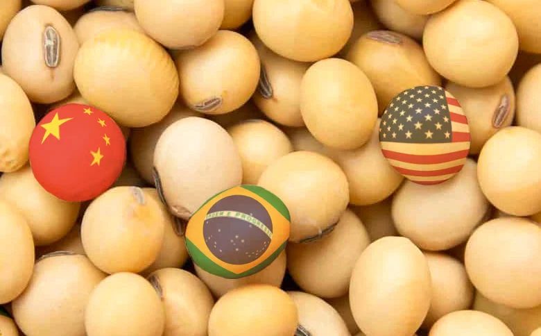 Agricultores dos EUA dizem que o Brasil ainda tem vantagem no mercado de soja da China, apesar da trégua comercial