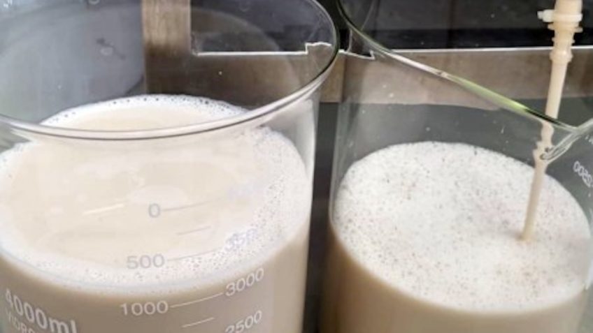 Future Cow: tecnologia vai produzir proteínas do leite sem vacas