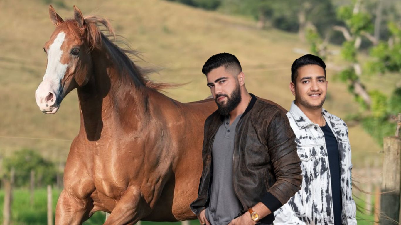 Henrique e Juliano compram égua Quarto de Milha e são os novos criadores da raça