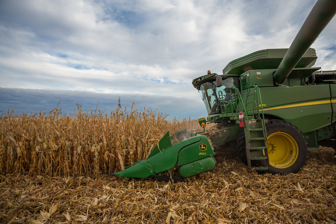 Agrural: Limitada por frio e chuva, colheita da safrinha de milho chega a 1,3%