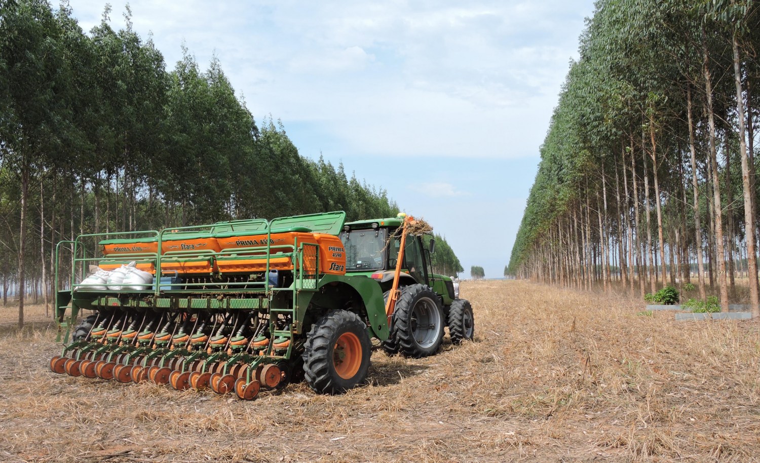 Com força do agro, PIB de Mato Grosso deve liderar entre os estados em 2025