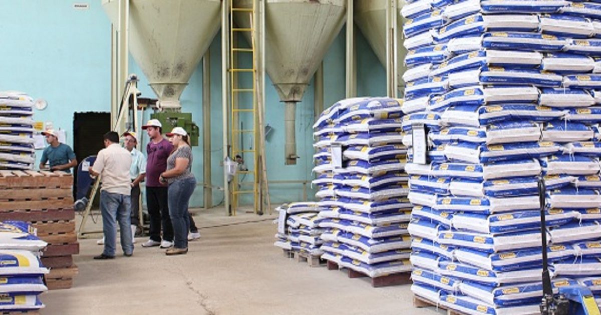 Boas práticas de fabricação na nutrição animal