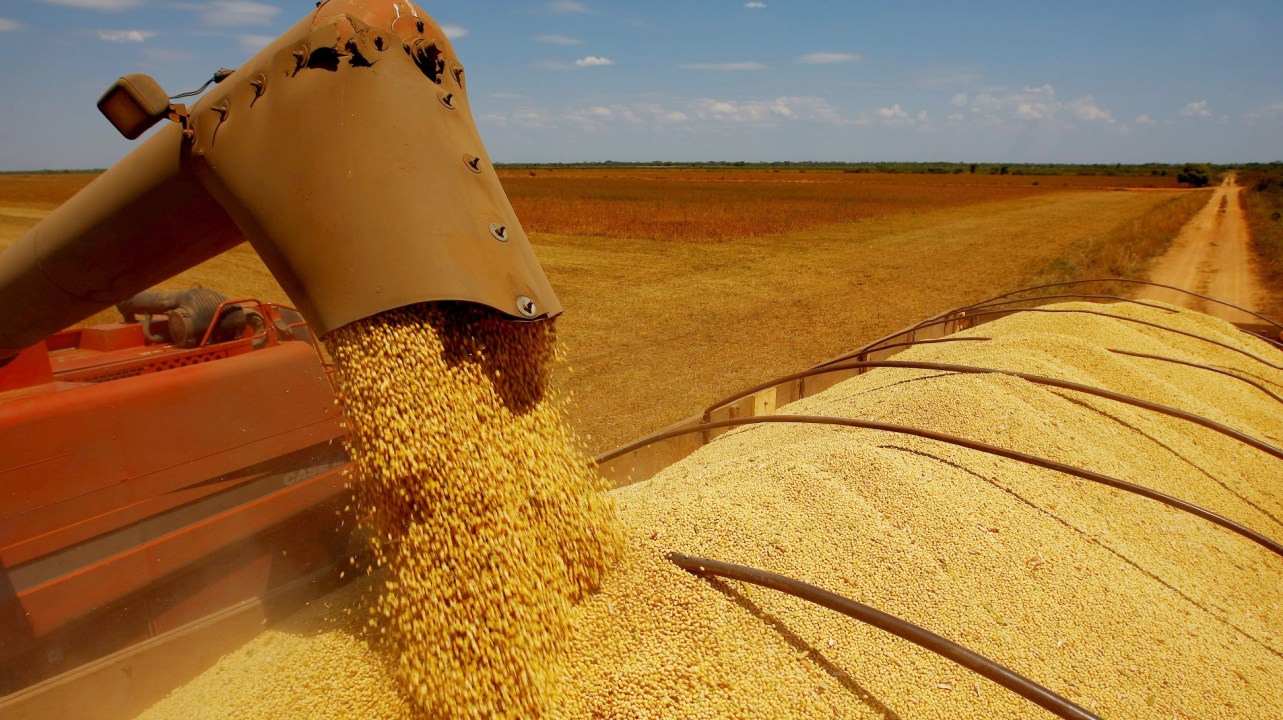 Volume de soja inspecionado nos EUA para exportação aumenta 34,2%, diz USDA