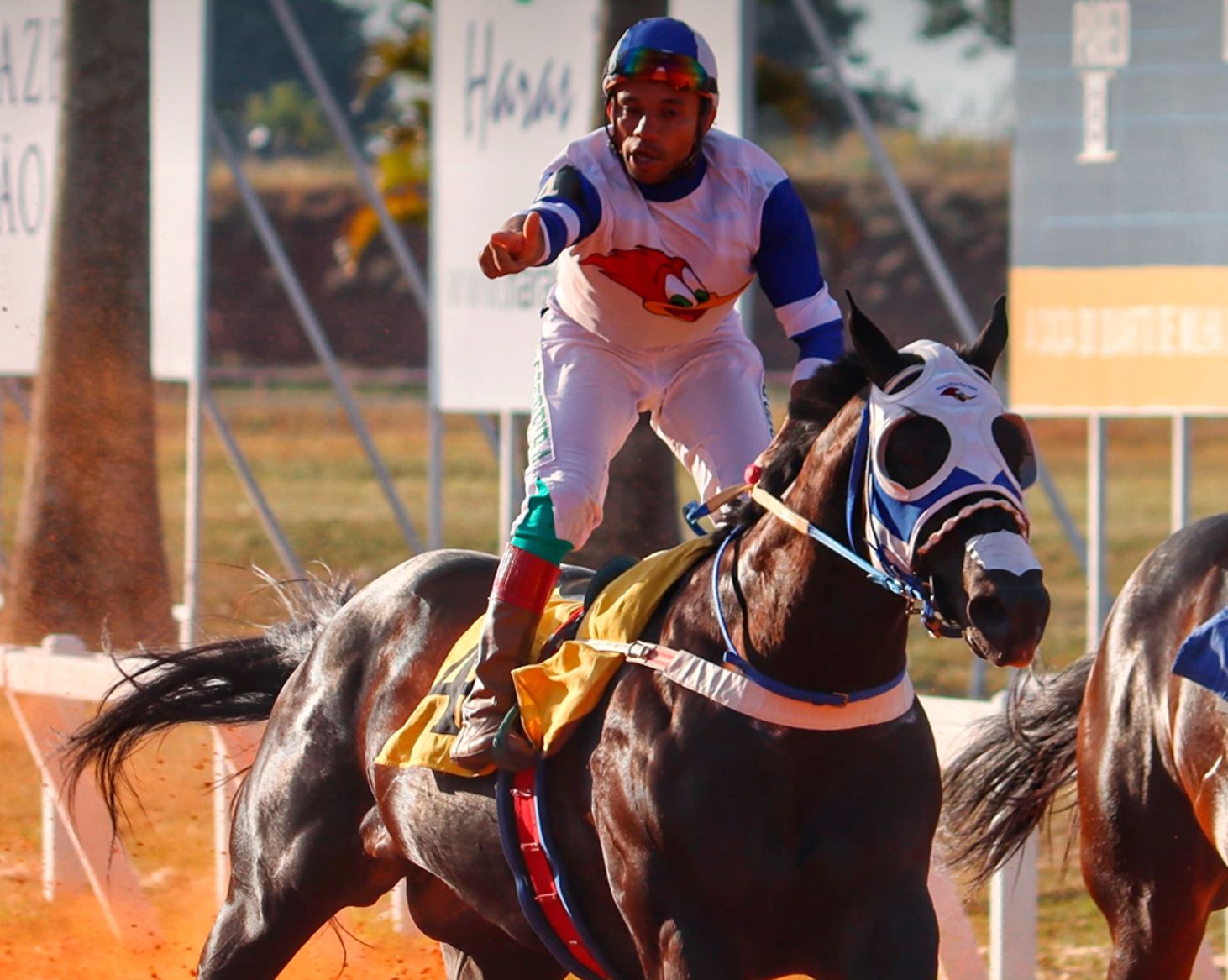 Mega Race quebra recordes e Anjo Dourado HFSJ é o campeão da Corrida do Milhão