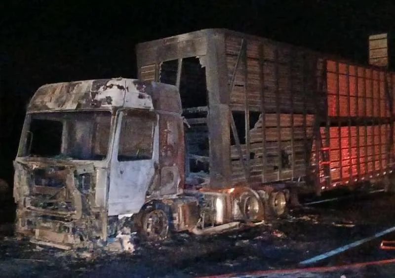 Carreta com gado nelore pega fogo e motorista solta animais na BR-040 para evitar mortes