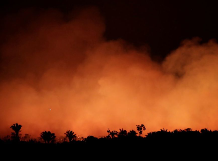 Câmara aprova aumentar punição por incêndios florestais