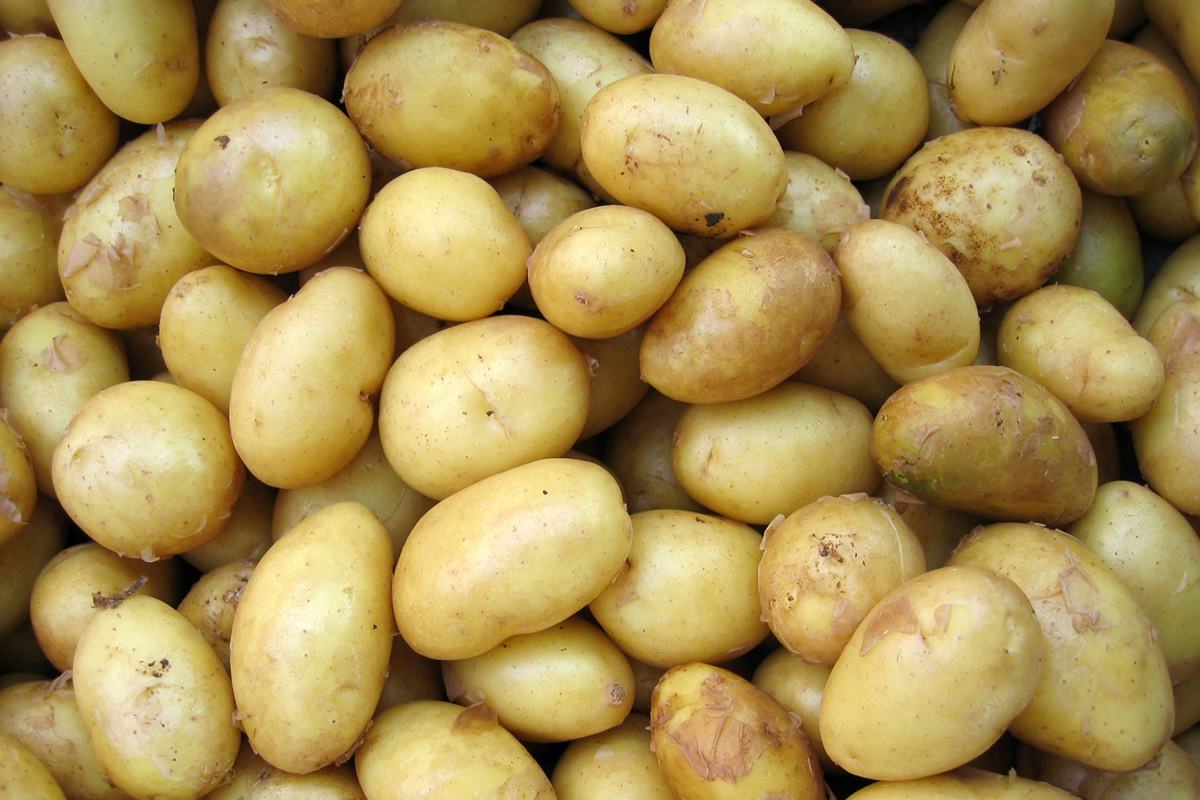 Confira 6 benefícios da batata para a saúde