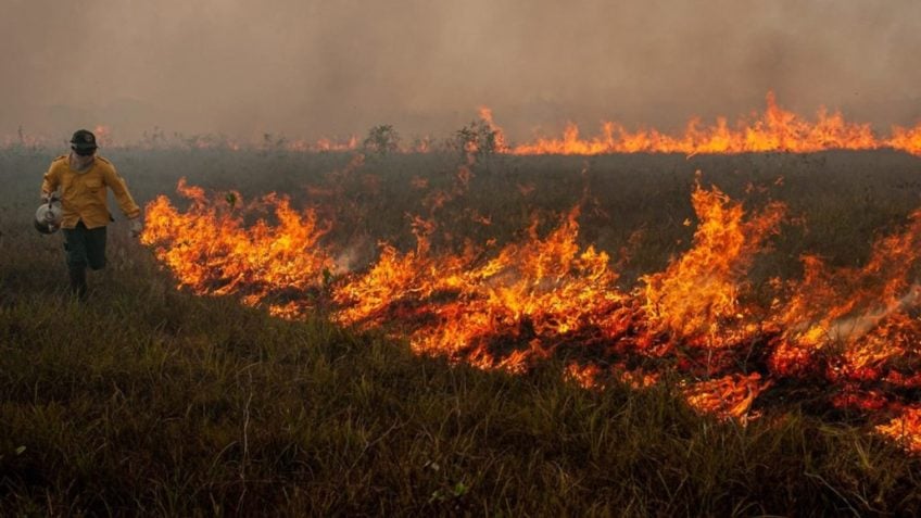 Brasil tem 4.263 focos de incêndio em maio, sendo 59% no Cerrado