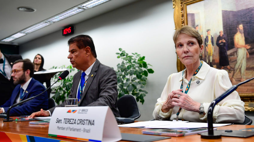 Congressistas brasileiros criticam protecionismo em abertura dos Brics