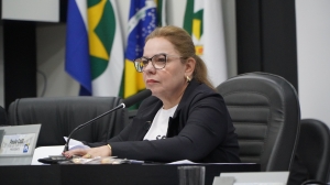 Câmara de Cuiabá aprova projeto de Paula Calil que ampara saúde mental materna