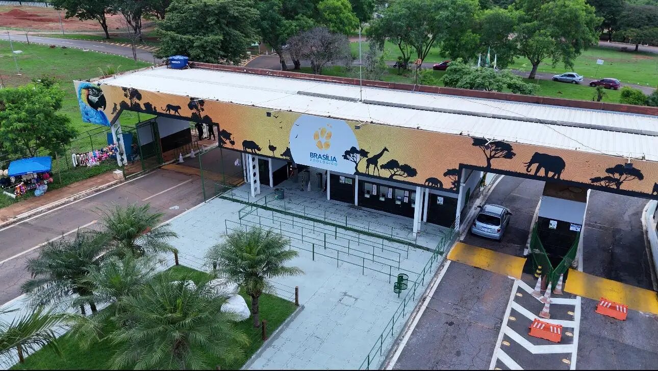 Caso de gripe aviária é confirmado em ave no Zoológico de Brasília
