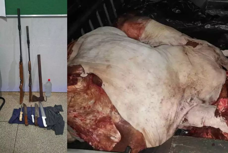 Furto de gado termina com mortos e escancara insegurança no campo