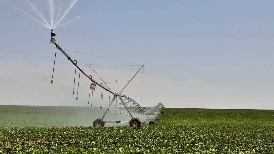 Safra de soja 2024/2025: produtividade média estadual foi de 51,78 sacas por hectare no Mato Grosso do Sul