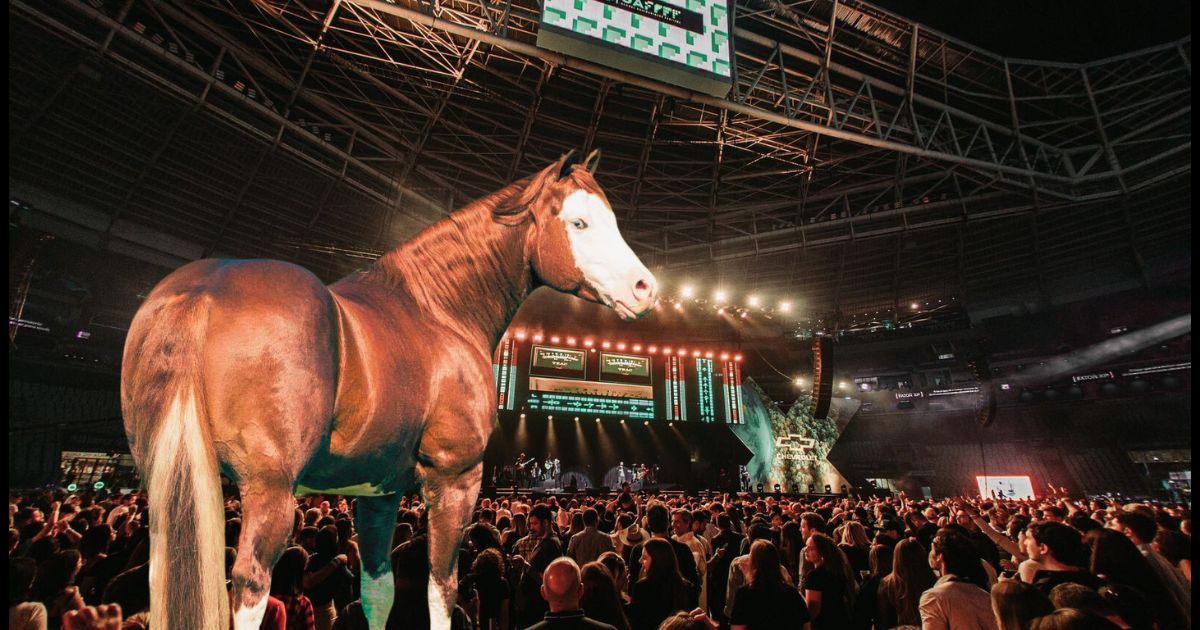 Cavalo Quarto de Milha marca presença no maior evento agro do mundo