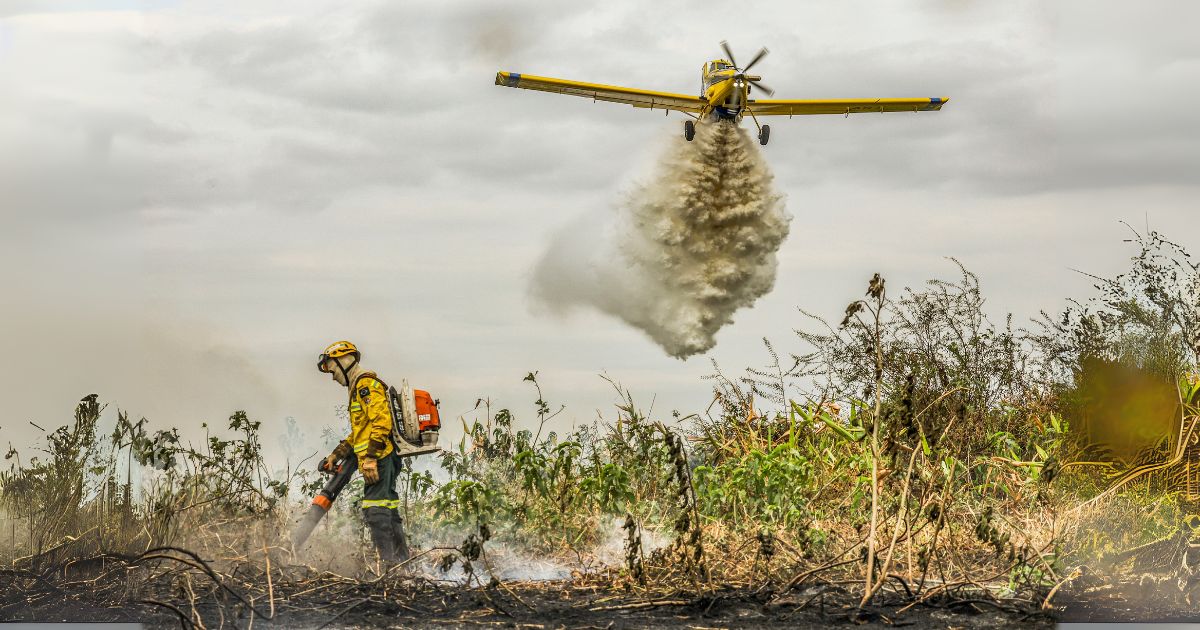 Produtores em MT devem adotar medidas urgentes contra incêndios