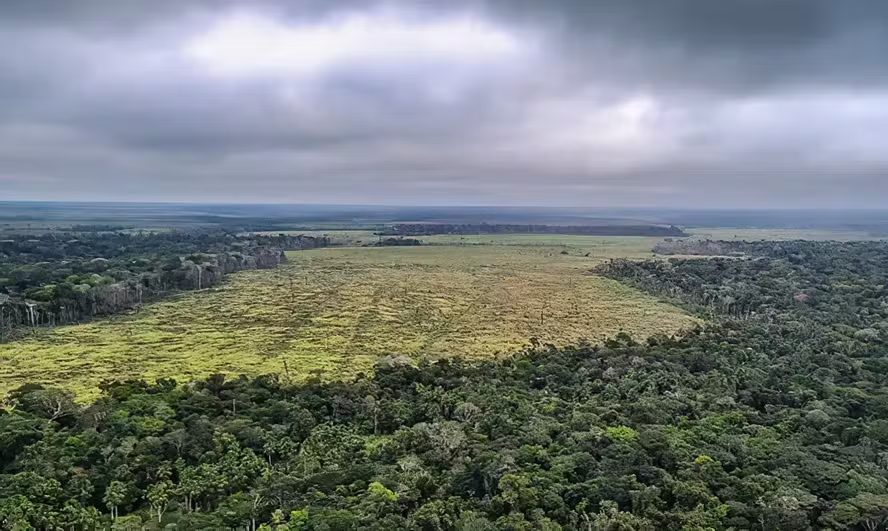Parlamentar quer exclusão de Mato Grosso do território da Amazônia Legal