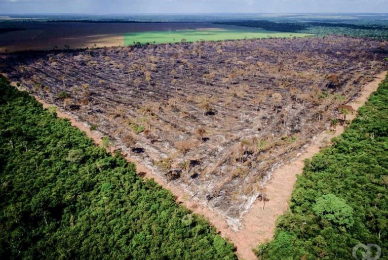 Ministério da Agricultura diz que meta do governo de zerar desmatamento está ‘fora da realidade’
