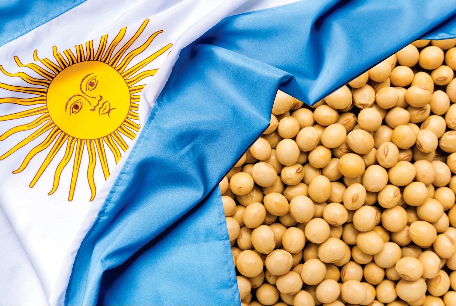 Colheita de soja na Argentina alcança 88,7% da área apta