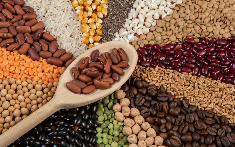 Índice da FAO de preços dos alimentos cai, com cereais, açúcar e óleo vegetais