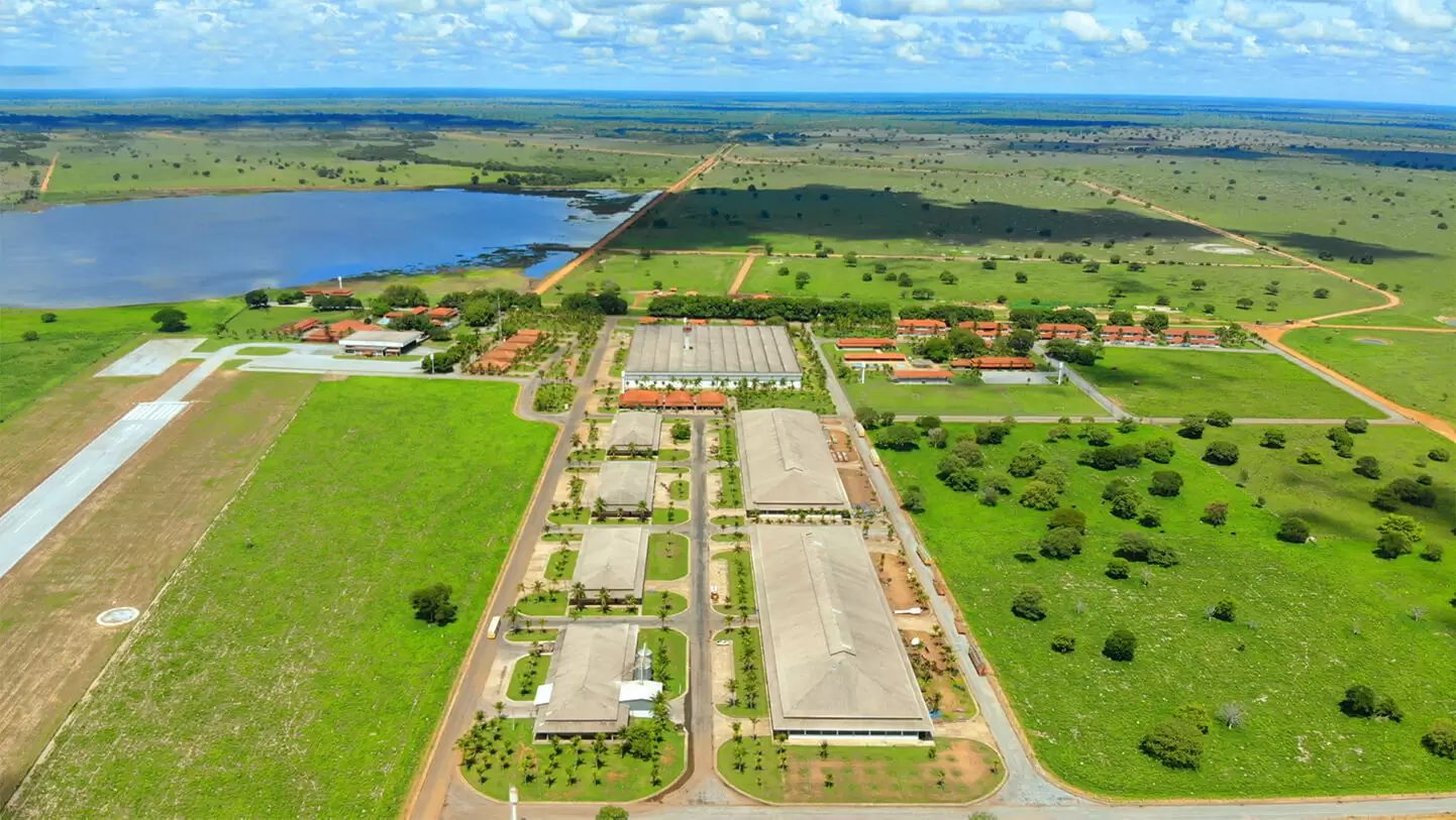 Como funciona o transporte na maior fazenda de ciclo completo do Brasil