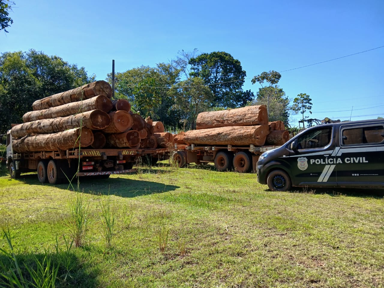 Operação da Polícia Civil apreende cargas ilegais de madeiras em duas empresas em Juína
