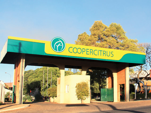 Coopercitrus estima crescer até 20% em 2025 e aposta em armazenagem de café