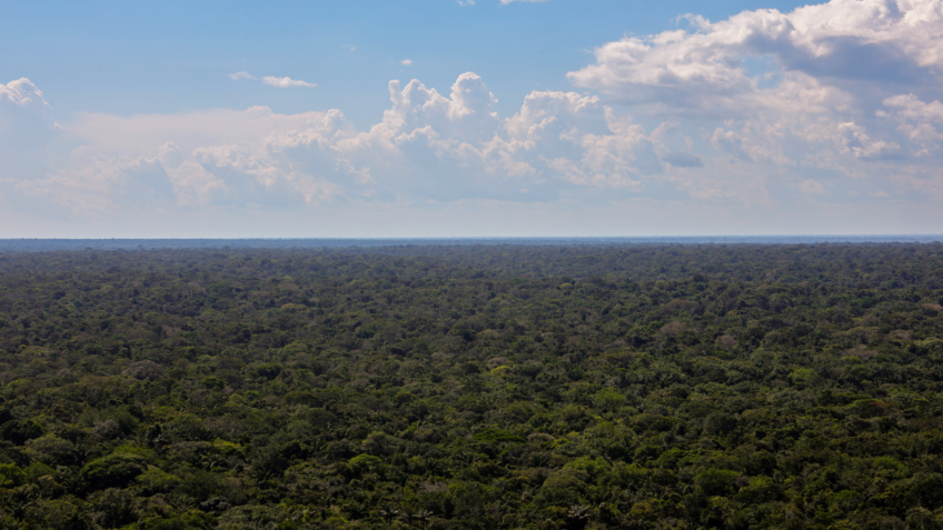 Desmatamento na Amazônia em maio cresce 92% em 1 ano