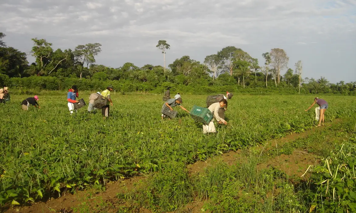 CMN reduz para R$ 200 mil limite de enquadramento no Proagro