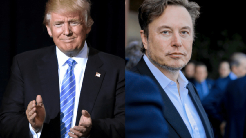 Musk deleta publicação em que associou Trump a caso Epstein