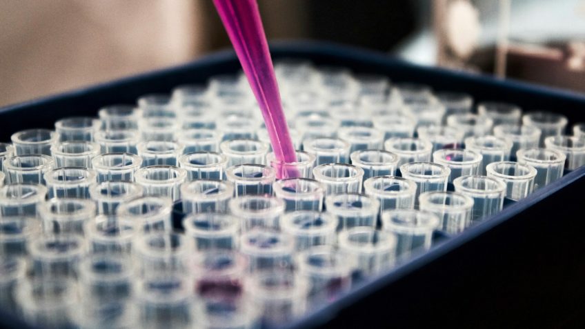 Imunoterapia aumenta em 44% sobrevida de pacientes com câncer