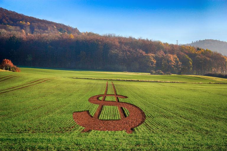 Parlamentares da FPA criticam aumento de impostos e cobram ações do governo em defesa do agro
