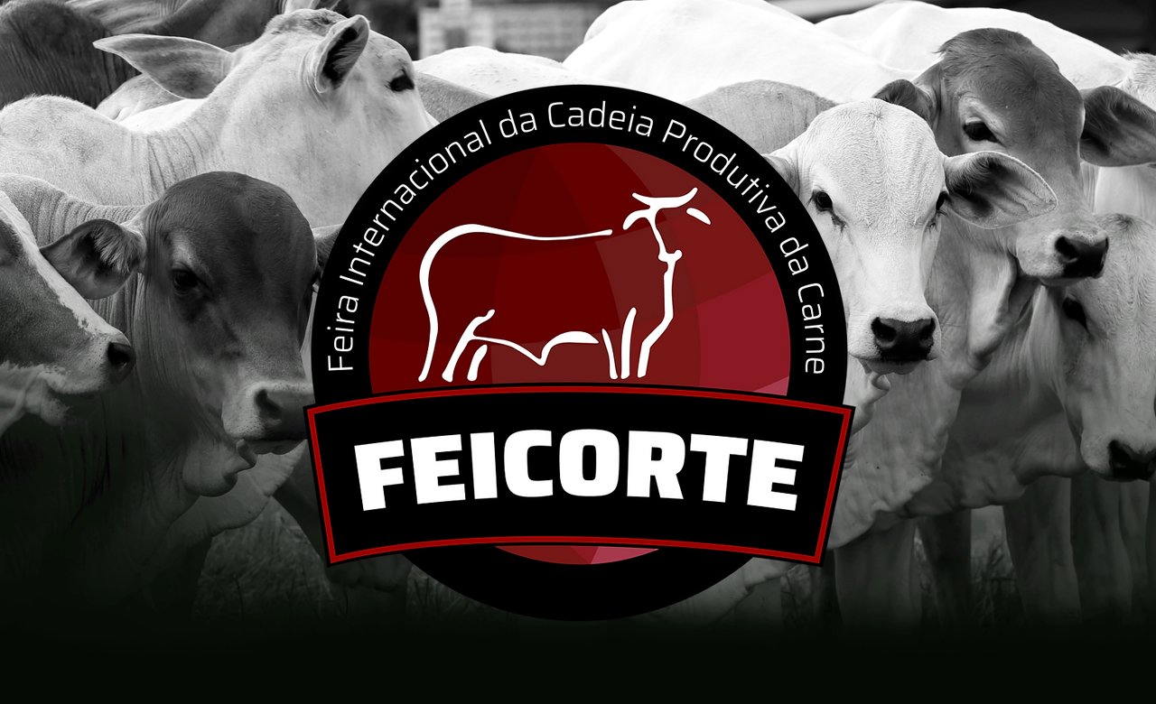 Exposição de raças bovinas na Feicorte apresentará diversidade e excelência genética da pecuária nacional
