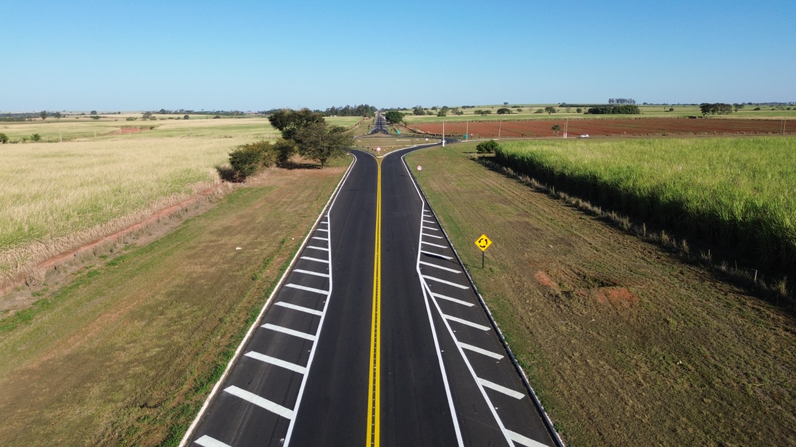 Governo autoriza plantio de milho, cana, soja e muito mais ao lado das rodovias; entenda