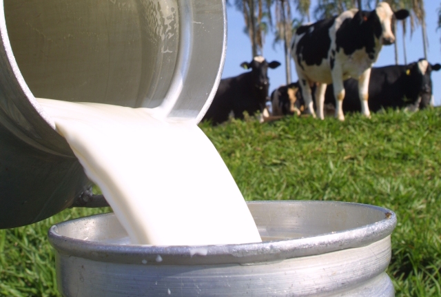 Empaer e Seaf promovem Dia de Campo sobre produção de leite com foco em práticas sustentáveis - EMPAER - Site