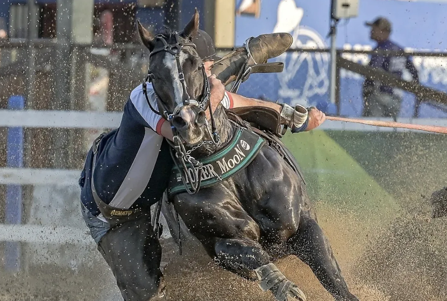 Descubra como escolher a embocadura certa para seu cavalo