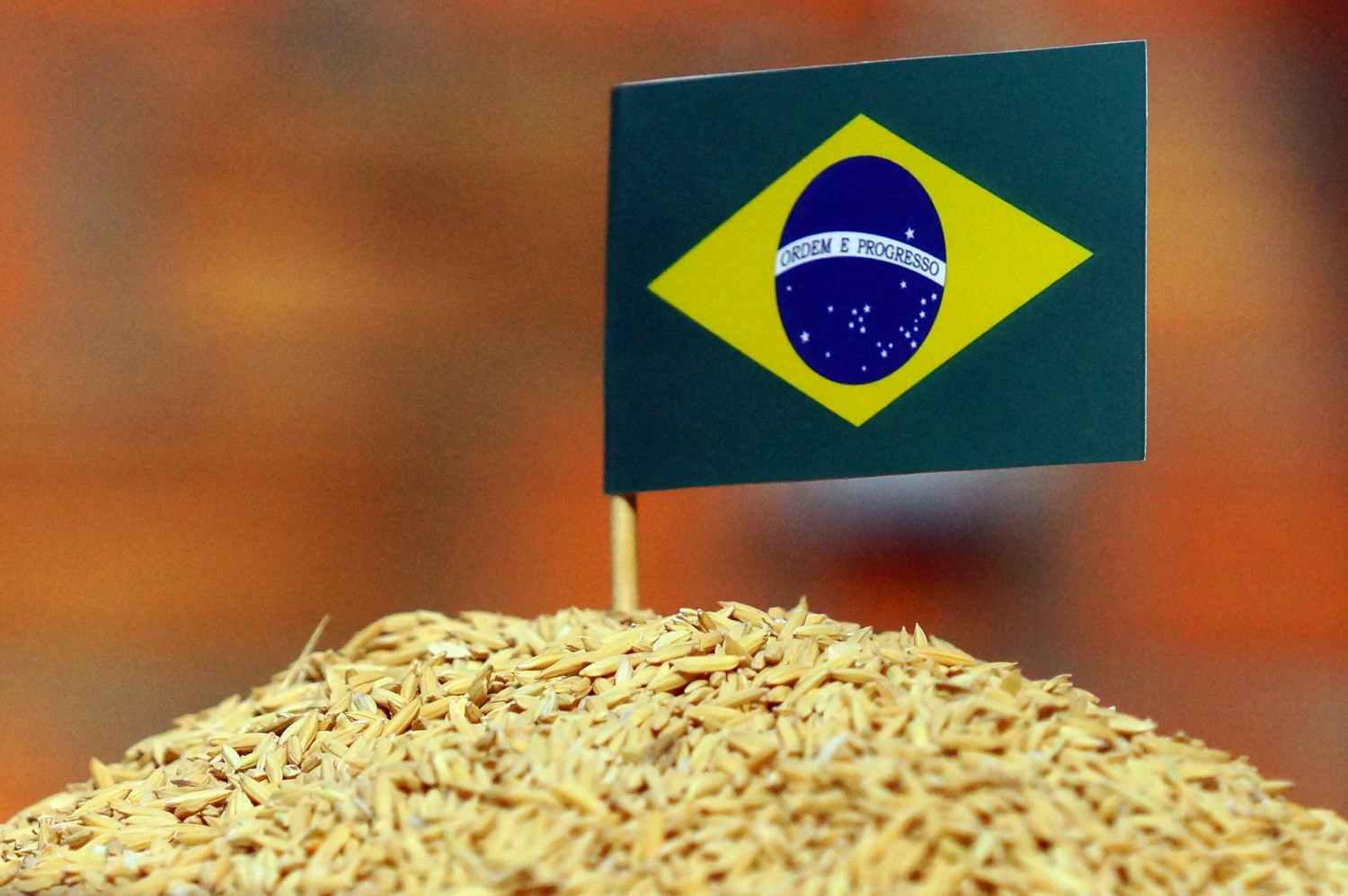 Abiarroz: Brasil exportou em maio 82% mais volume; receita cresceu 20% em um ano
