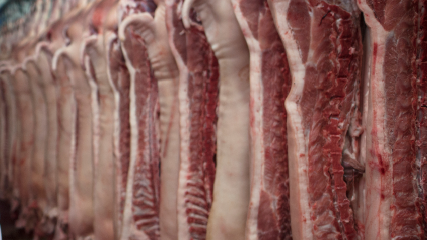 Conab estima produção de 31,57 milhões de toneladas de carne para 2025