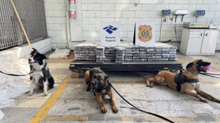 Receita acha 657 kg de cocaína em sacas de café no Porto de Santos
