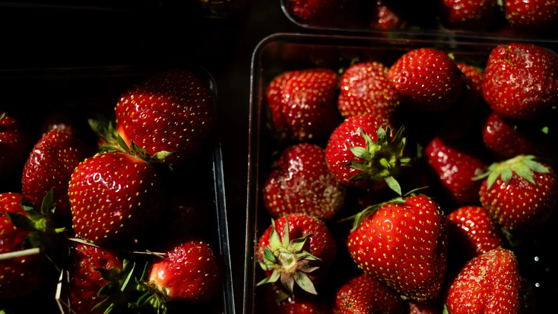 Alimentos com pouquíssimas calorias