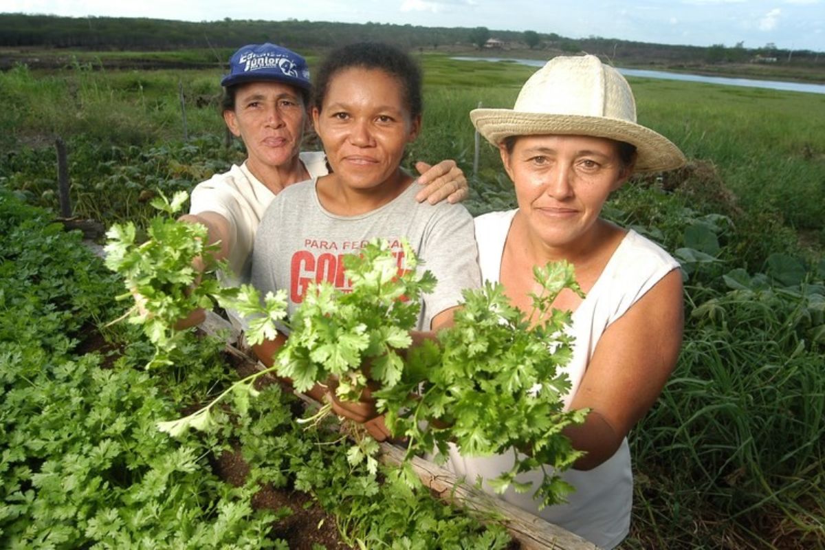Vida digna a famílias rurais do NE demanda renda entre R$ 1.986,00 a R$ 4.996,00