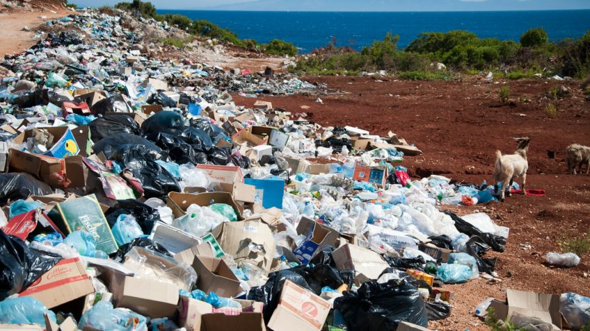 Suécia condena "Rainha do Lixo" a 6 anos por despejo de resíduos tóxicos