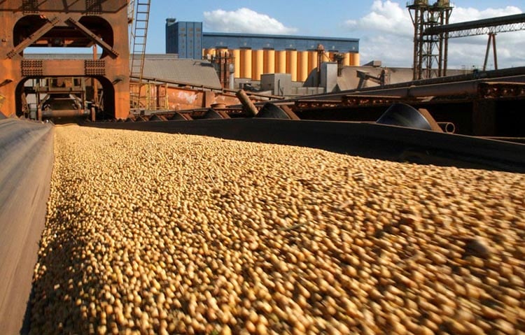 Volume de soja inspecionado para exportação nos EUA cai 61,4% e a de milho, 3,23%