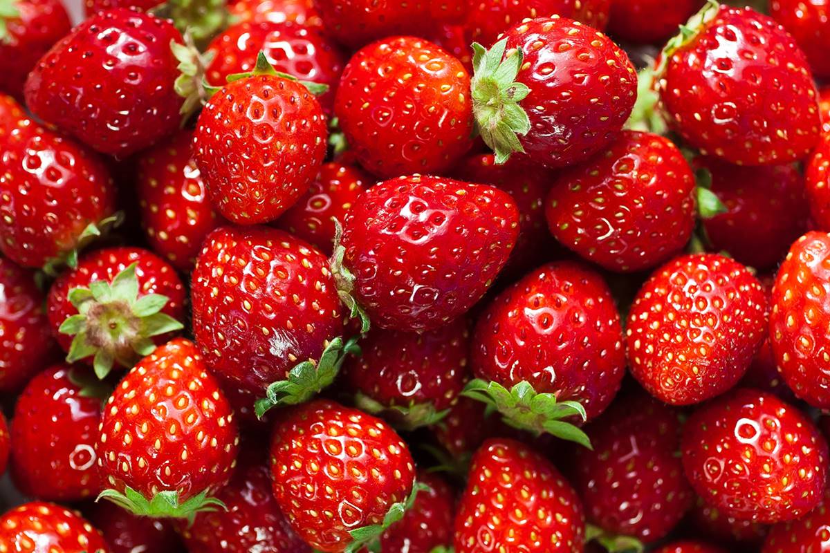Pesquisadores descobrem o que ninguém queria ver em morangos