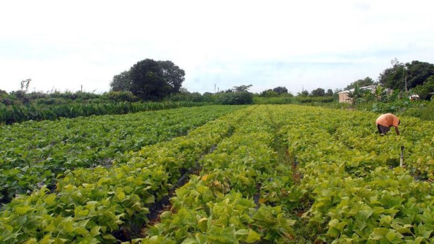 Conflito Irã-Israel pode elevar preços dos fertilizantes no Brasil